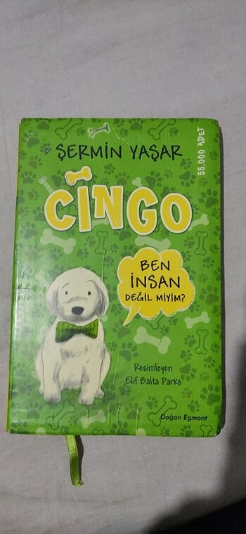 Şermin Yaşar Cingo