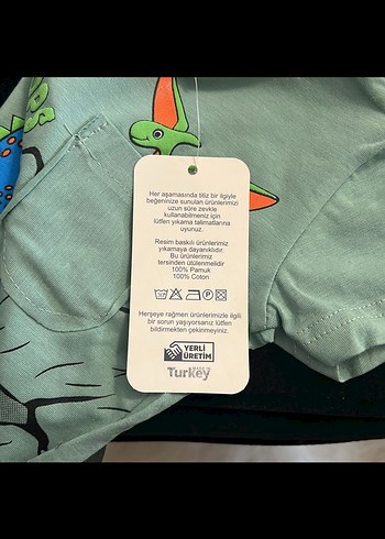 Dinozor Baskılı yeşil Erkek Çocuk Tişört - Görsel 3