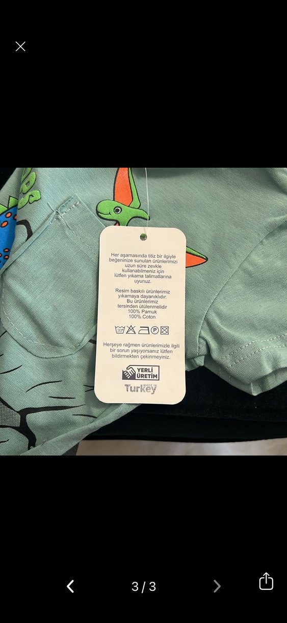 Dinozor Baskılı yeşil Erkek Çocuk Tişört - Görsel 3