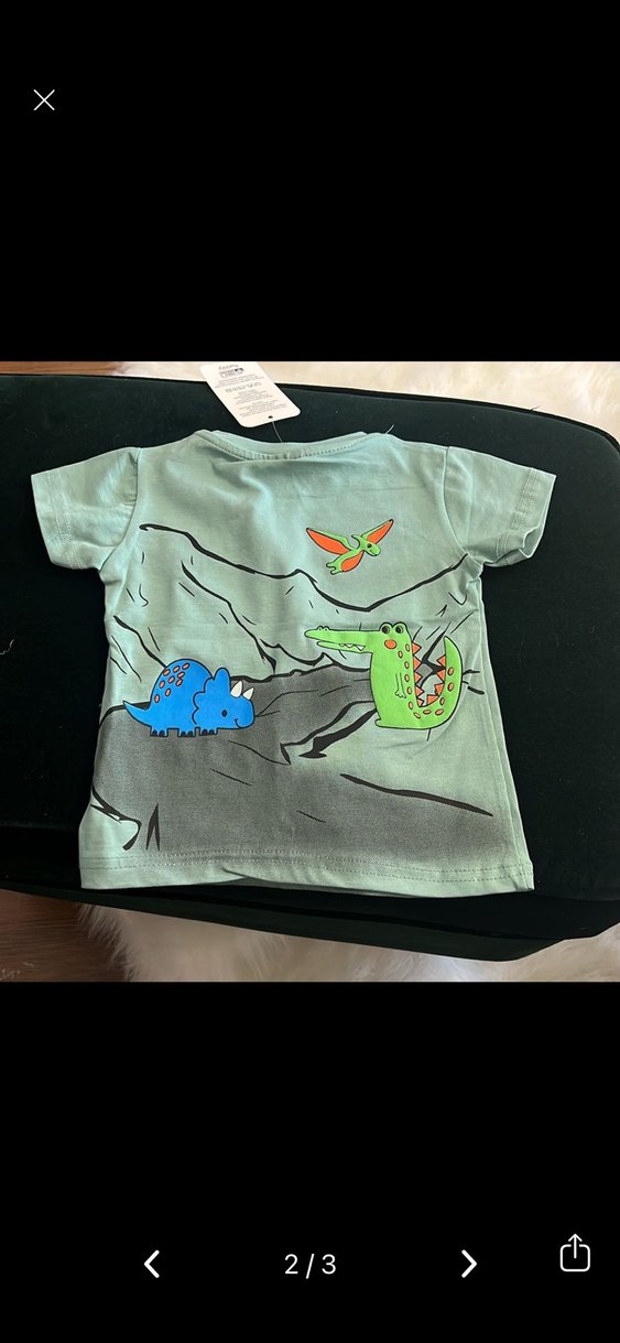 Dinozor Baskılı yeşil Erkek Çocuk Tişört - Görsel 2