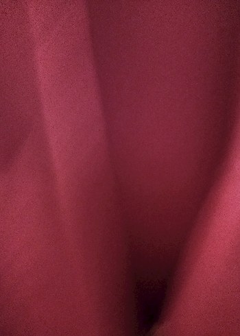 Bordo Parlak Midi Kadın ceket - Görsel 3