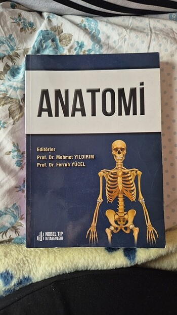 Anatomi