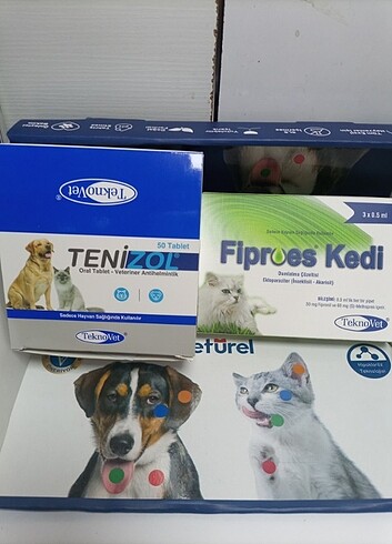 3 iç parazit 3 dış parazit - Görsel 2