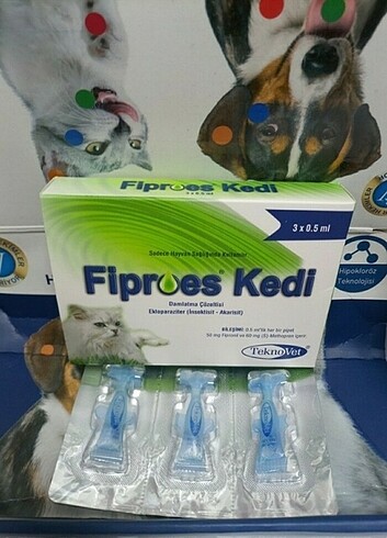  Kedi dış parazit 