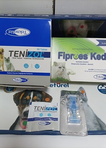 Kedi iç dış parazit