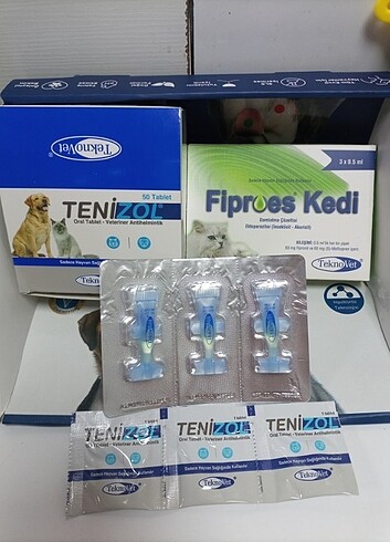 Kedi iç dış parazit