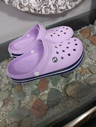 Crocs Crocs
