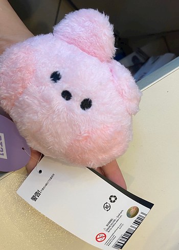 Bts Bt21 Cooky Ayna