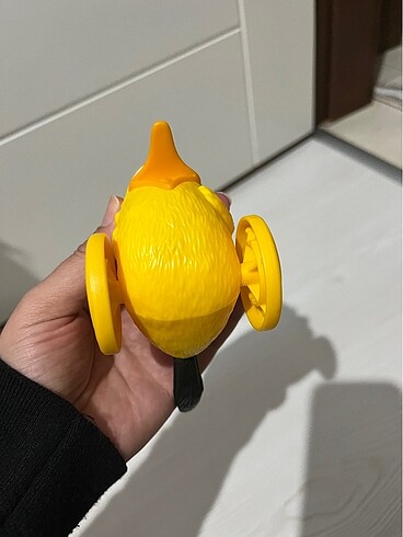 Beden Renk Angry birds