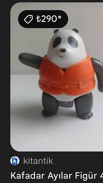 Kafadar ayılar - Görsel 3