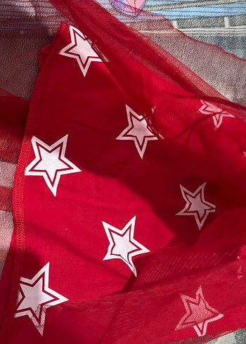 Kız Çocuk Kırmızı Pilili Nakışlı Etek - Görsel 2