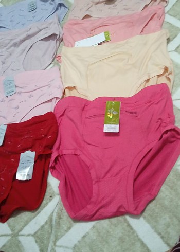 Kadın Pembe Midi Külot Seti - Görsel 4