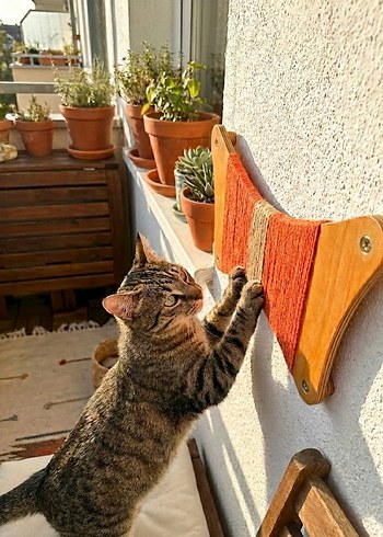 Kedi Tırmalama Tahtası Kahverengi - Görsel 2