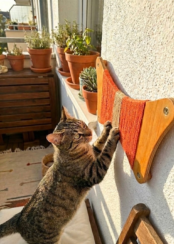 Kedi Tırmalama Tahtası Kahverengi - Görsel 2