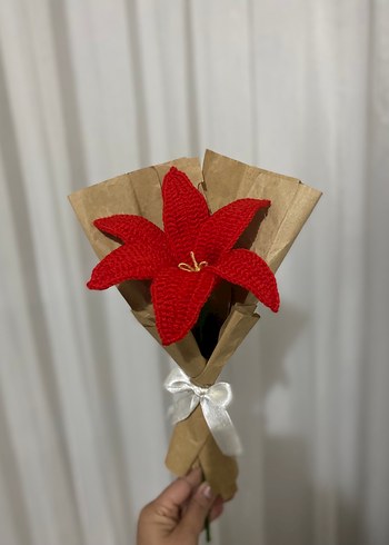 Kırmızı El Örgüsü Çiçek Buketi - Görsel 4