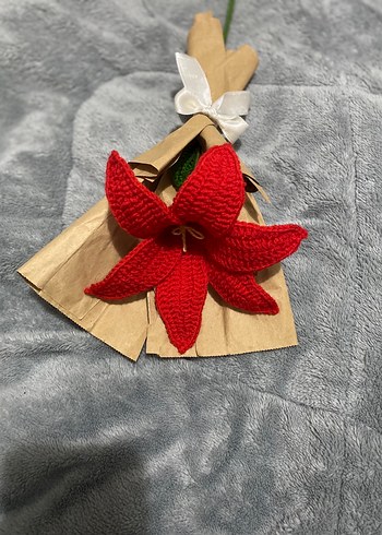 Kırmızı El Örgüsü Çiçek Buketi - Görsel 2