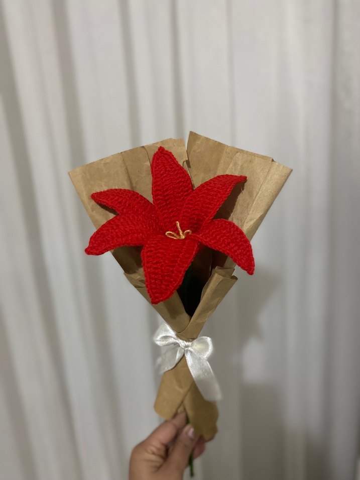 Kırmızı El Örgüsü Çiçek Buketi - Görsel 4