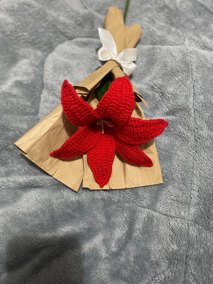 Kırmızı El Örgüsü Çiçek Buketi - Görsel 2