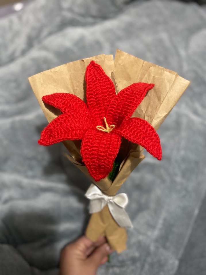 Kırmızı El Örgüsü Çiçek Buketi - Görsel 3