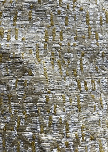 Kısa Kollu Düğmeli Altın Rengi Kadın Takım - Görsel 5