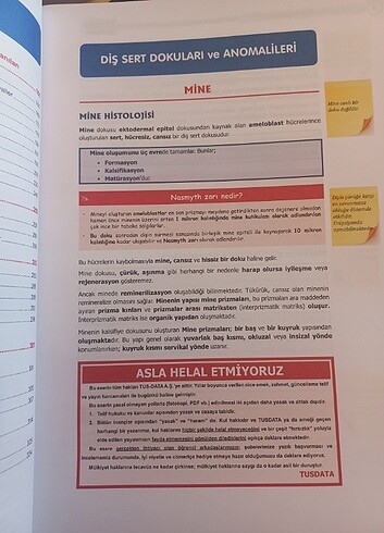  Beden Renk Dusdata Restoratif şampiyonların notu 