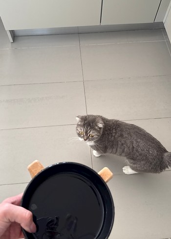 Mama Kabı Su Kabı Seramik - Görsel 4