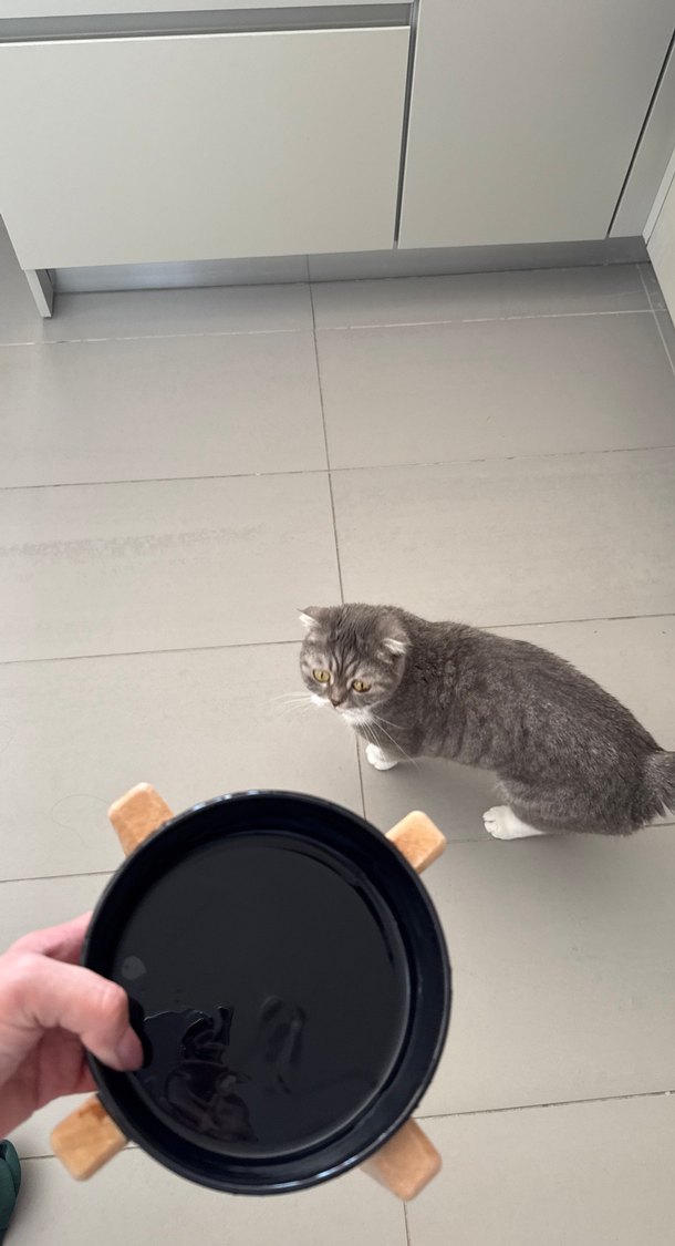 Mama Kabı Su Kabı Seramik - Görsel 4