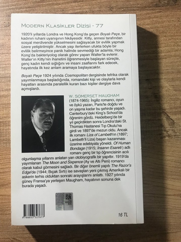 Boyalı Peçe - W. Somerset Maugham - Görsel 2