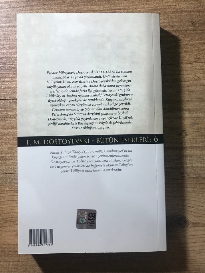 Stepançikovo Köyü - Fyodor Dostoyevski - Görsel 2