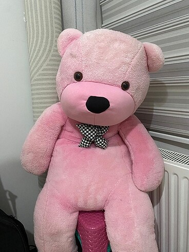 Pembe ayıcık