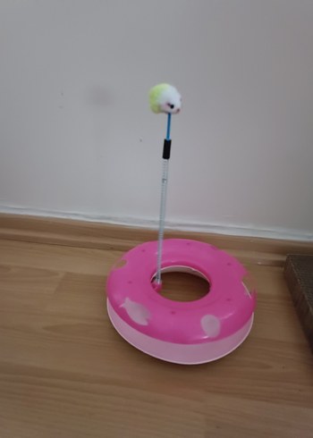 Renkli Pembe Kedi Oyuncağı