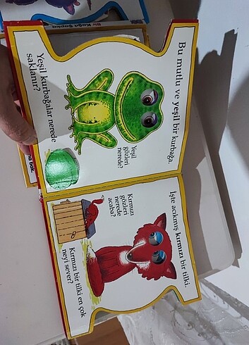 Beden Renk Hareketli kitaplar