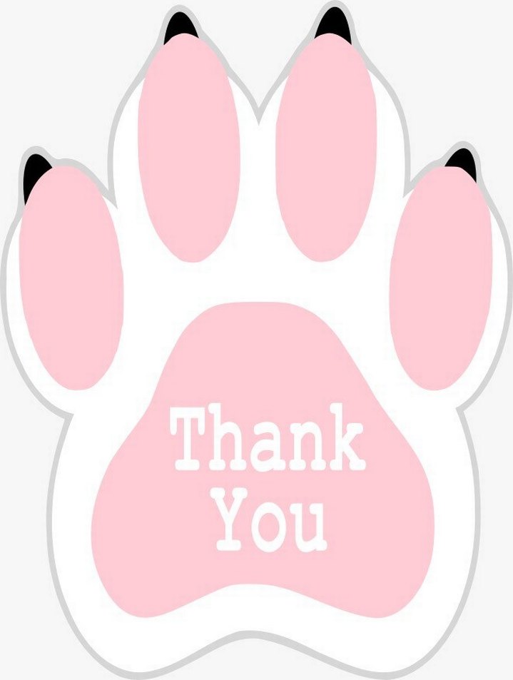 100 adet Pastel Sarı Kedi Pençe Teşekkür Etiketleri - Görsel 2