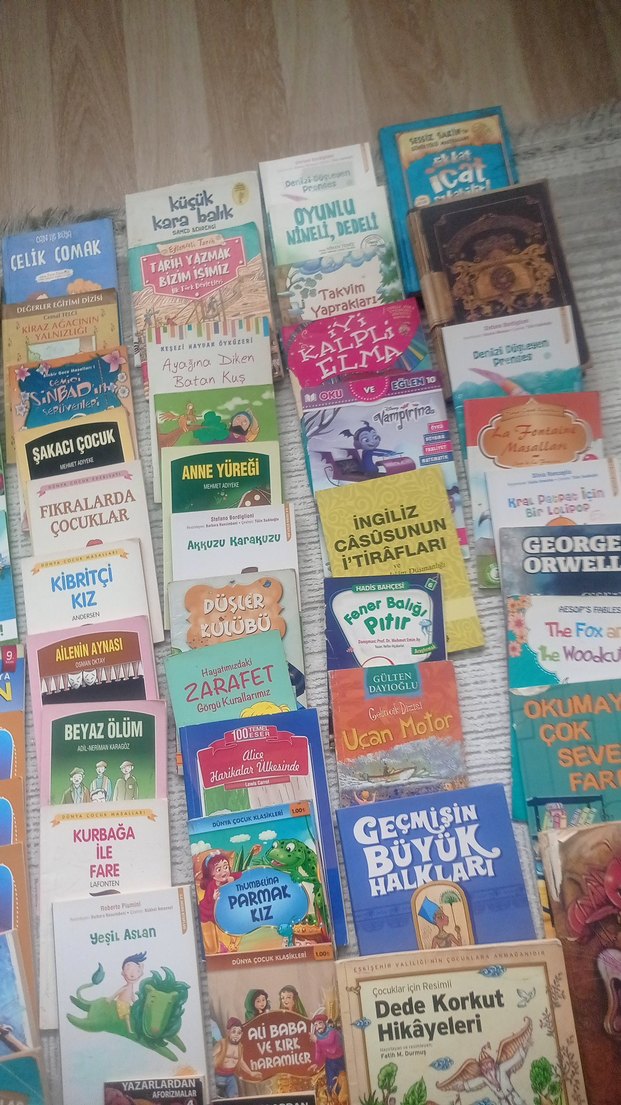 ilkokul Çocuklar İçin okuma kitabi 50 adet sok fiyat - Görsel 3