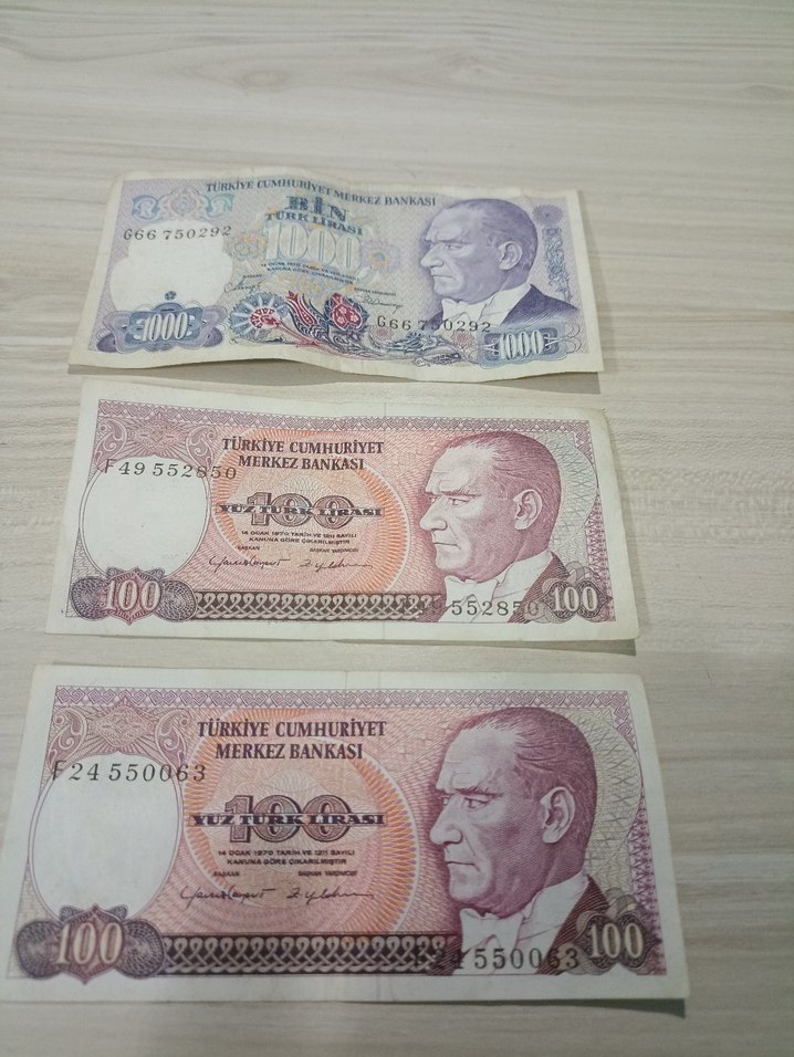 Türkiye Cumhuriyeti Eski Banknot Seti - Görsel 2