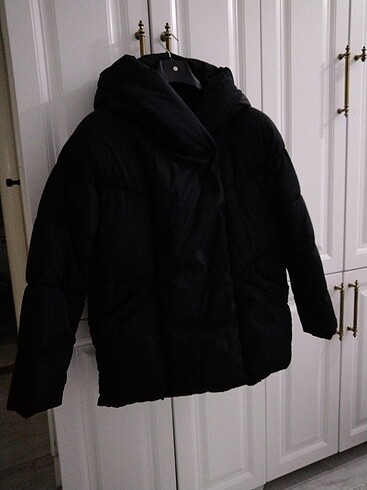 Stardivarius mont 