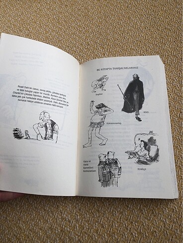  Beden Koca sevimli dev Roald Dahl kitap
