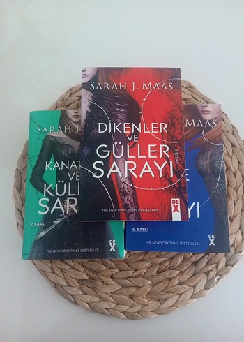 dikenler ve güller sarayı serisi ilk 3 kitap