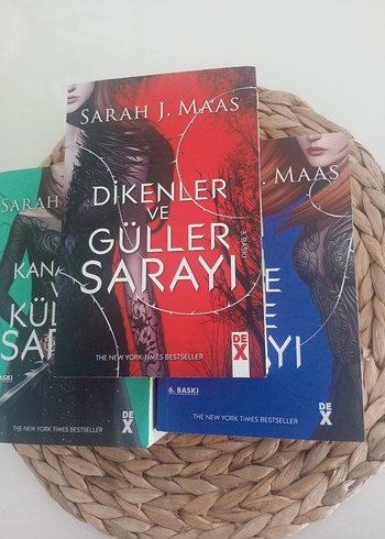 dikenler ve güller sarayı serisi ilk 3 kitap