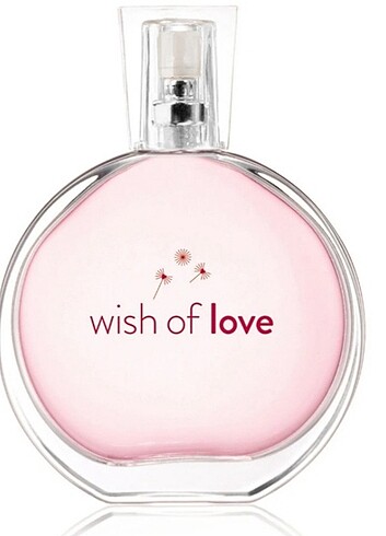 Wish Of Love