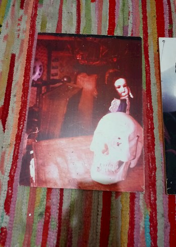 Sanat Kitapları Seti - Kafatası ve Portre Temalı 27 adet - Görsel 2