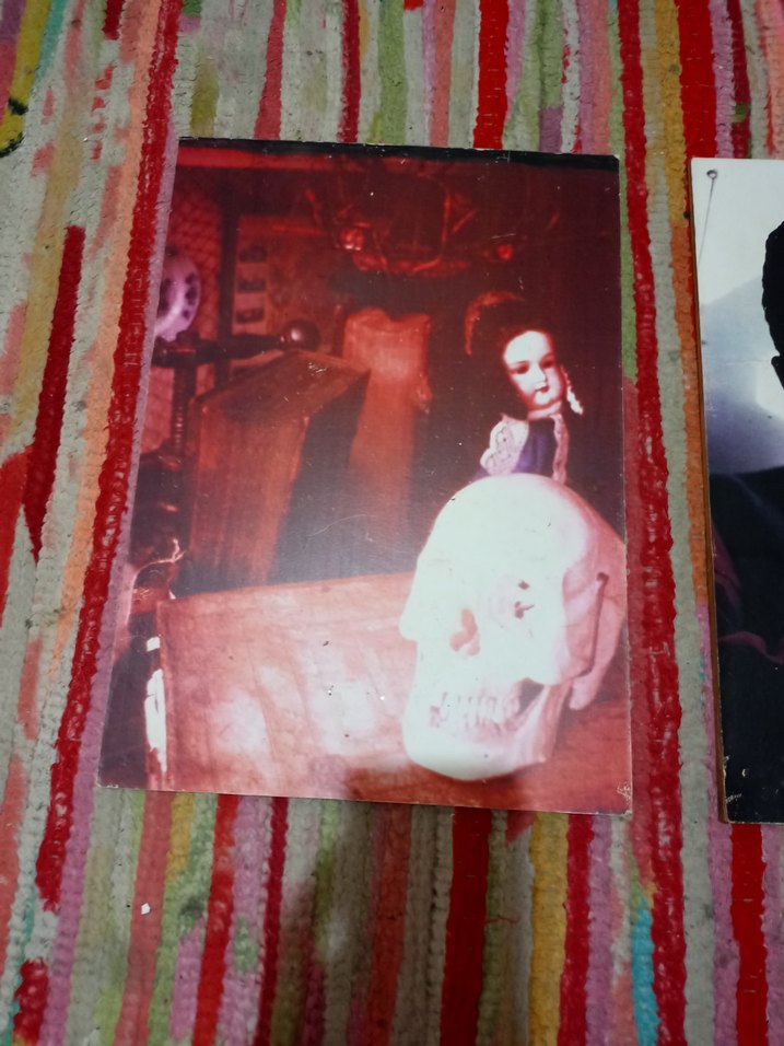 Sanat Kitapları Seti - Kafatası ve Portre Temalı 27 adet - Görsel 2