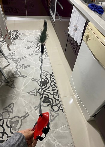 Kırmızı Tüylü Kedi Oyuncağı - Görsel 3