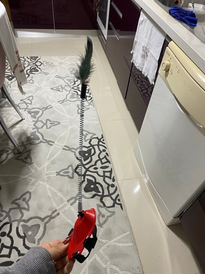 Kırmızı Tüylü Kedi Oyuncağı - Görsel 3