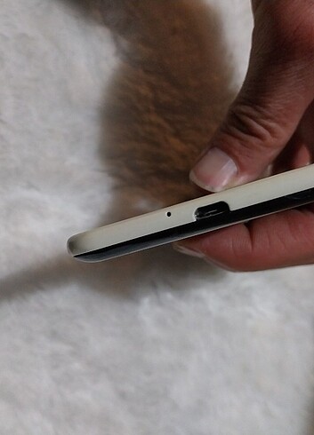 Vestel Venus v3
