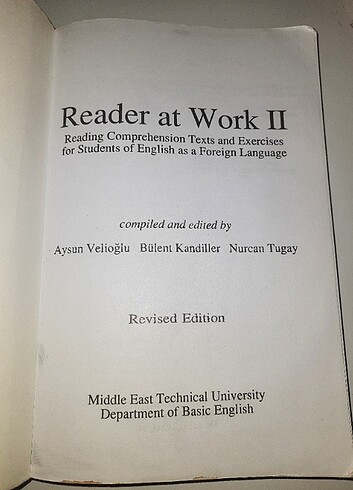 READER AT WORK 2