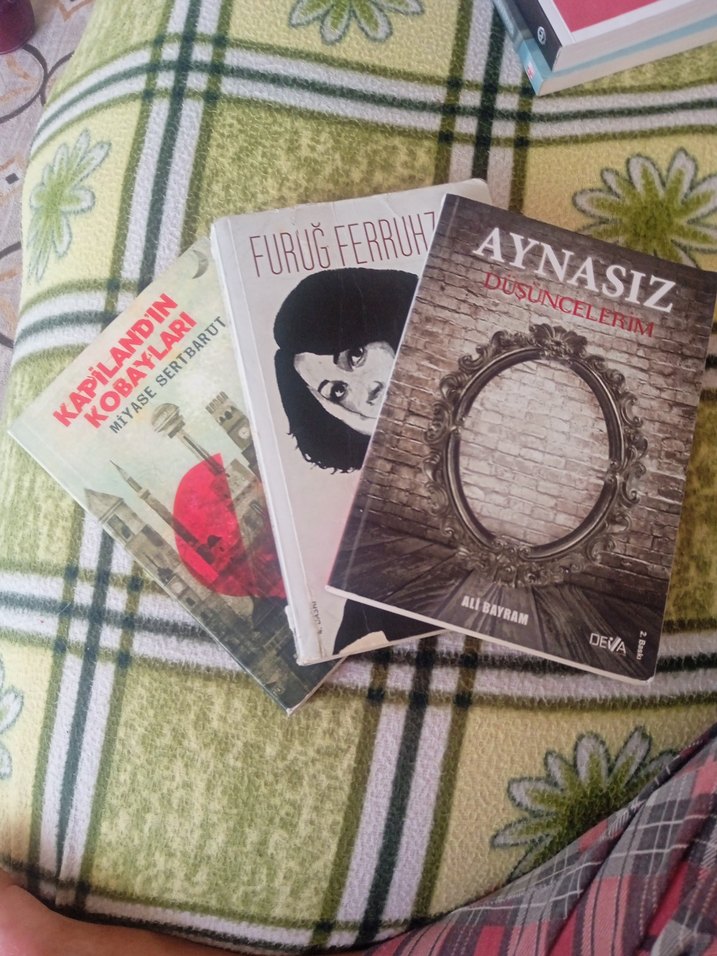 Kapılandın Kobayları Romanı - Görsel 2