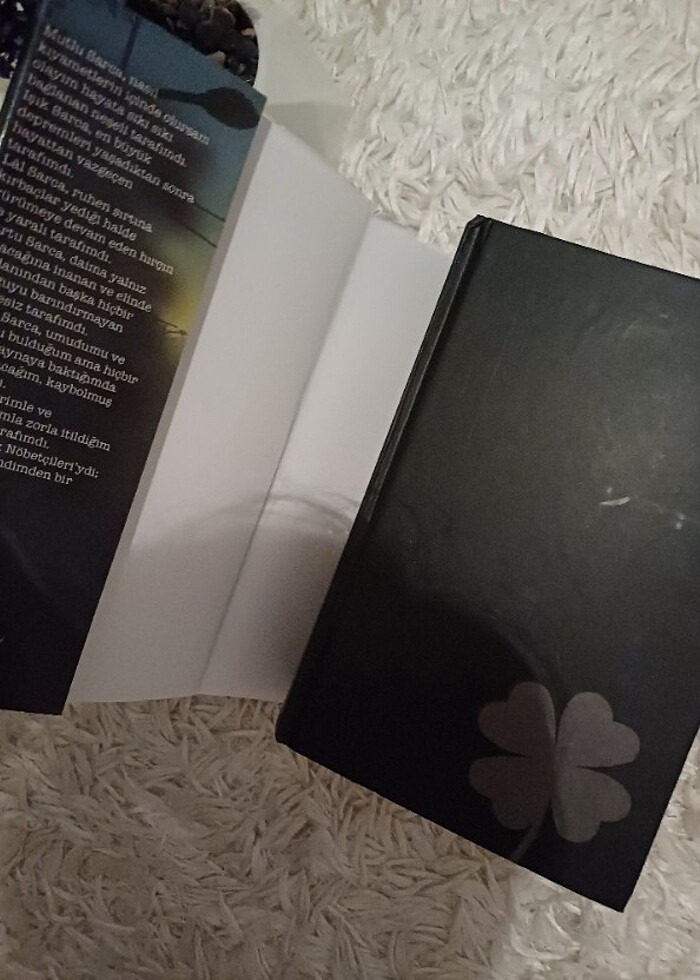 Sokak nöbetçileri 2 - Görsel 3