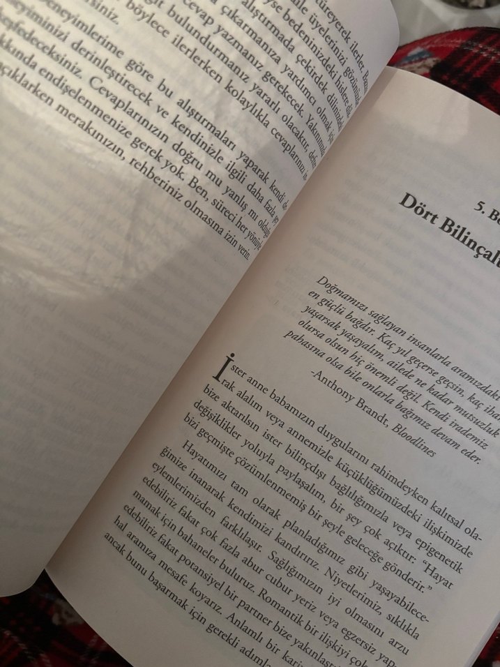 Seninle Başlamadı - Kalıtsal Aile Travmaları - Görsel 2