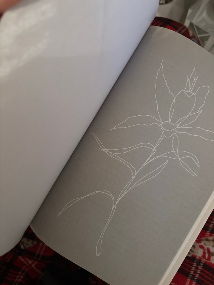 Başka Dilde Aşk - Mia Sheridan - Görsel 3